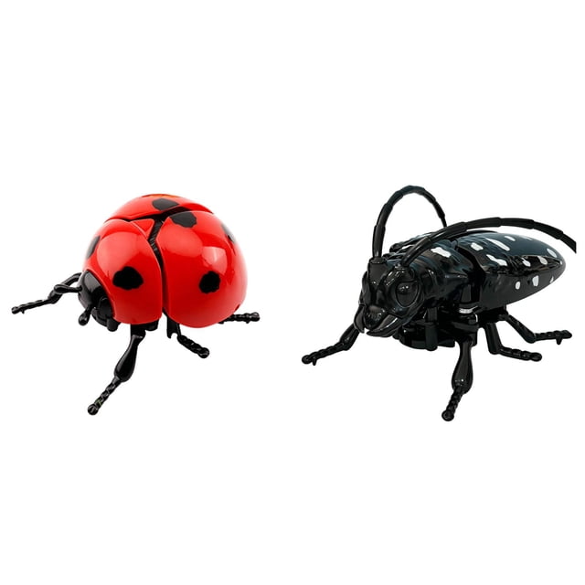 YWIYIUD 2 Pcs 2.44x4.02x1.65 Pouces Jouets Réalistes en Forme d'Insectes Modèle pour l'Apprentissage des Sciences et Cadeaux Éducatifs en Science Mini Modèle en Forme d'Insectes pour Ornements de Salon à la Maison