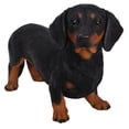 thumbnail image 1 of Figura de perro salchicha Hi-Line Gift Ltd pintada a mano, 50 x 19 x 33 cm, 1 of 2