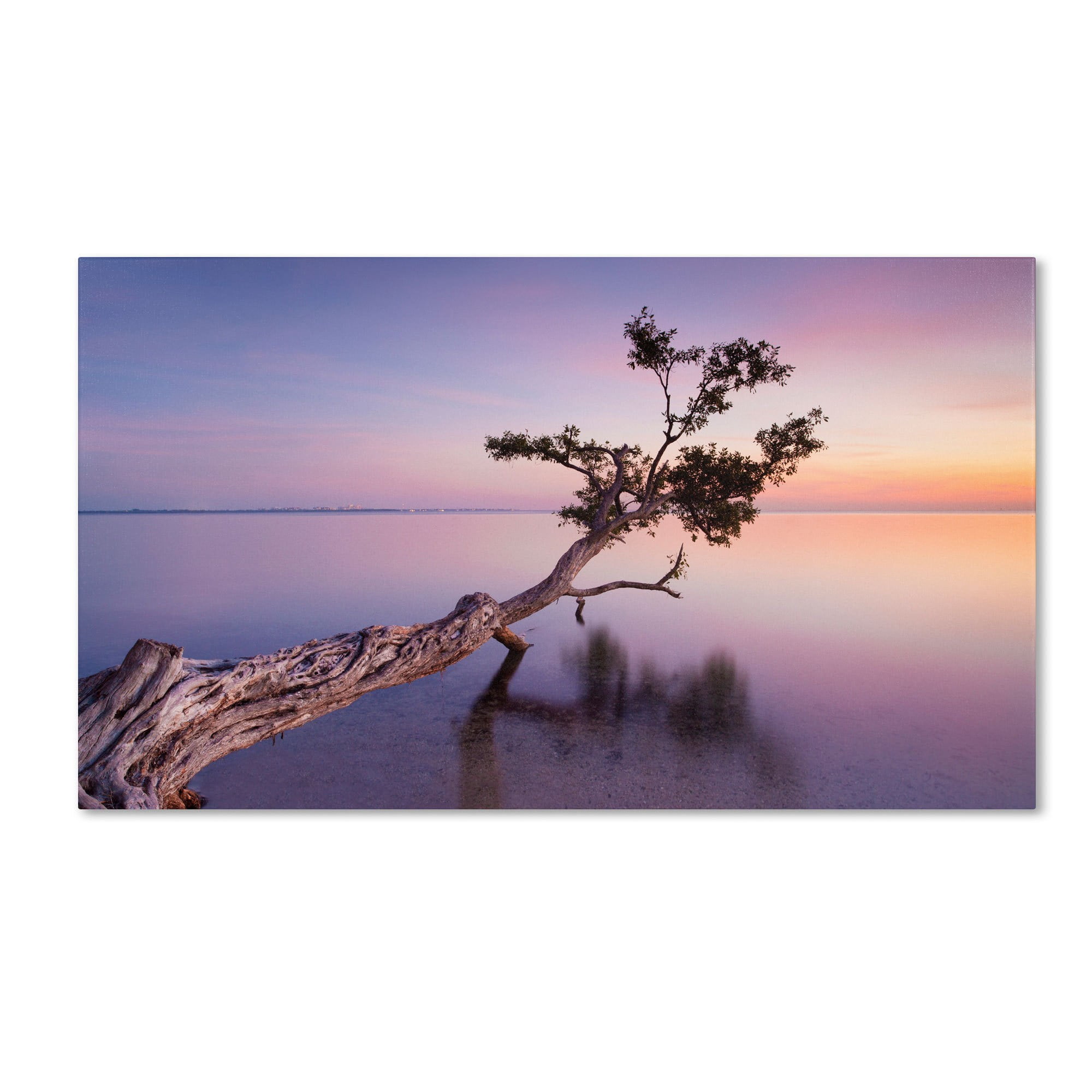 Trademark Fine Art "Water Tree XV" Canvas Art by Moises Levy