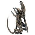 thumbnail image 2 of Alien Series 1 9" Deluxe Action Figure Xenomorph Warrior, 2 of 2