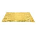 thumbnail image 1 of Emergency Blankets PET Aluminized Film Emergency  Thermal Blankets, Designed For Camping Outdoors, 1 of 8