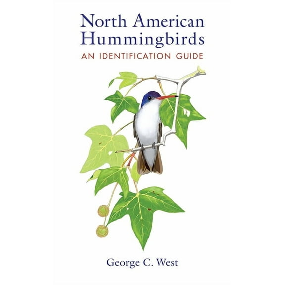 North American Hummingbirds: An Identification Guide, (Paperback)