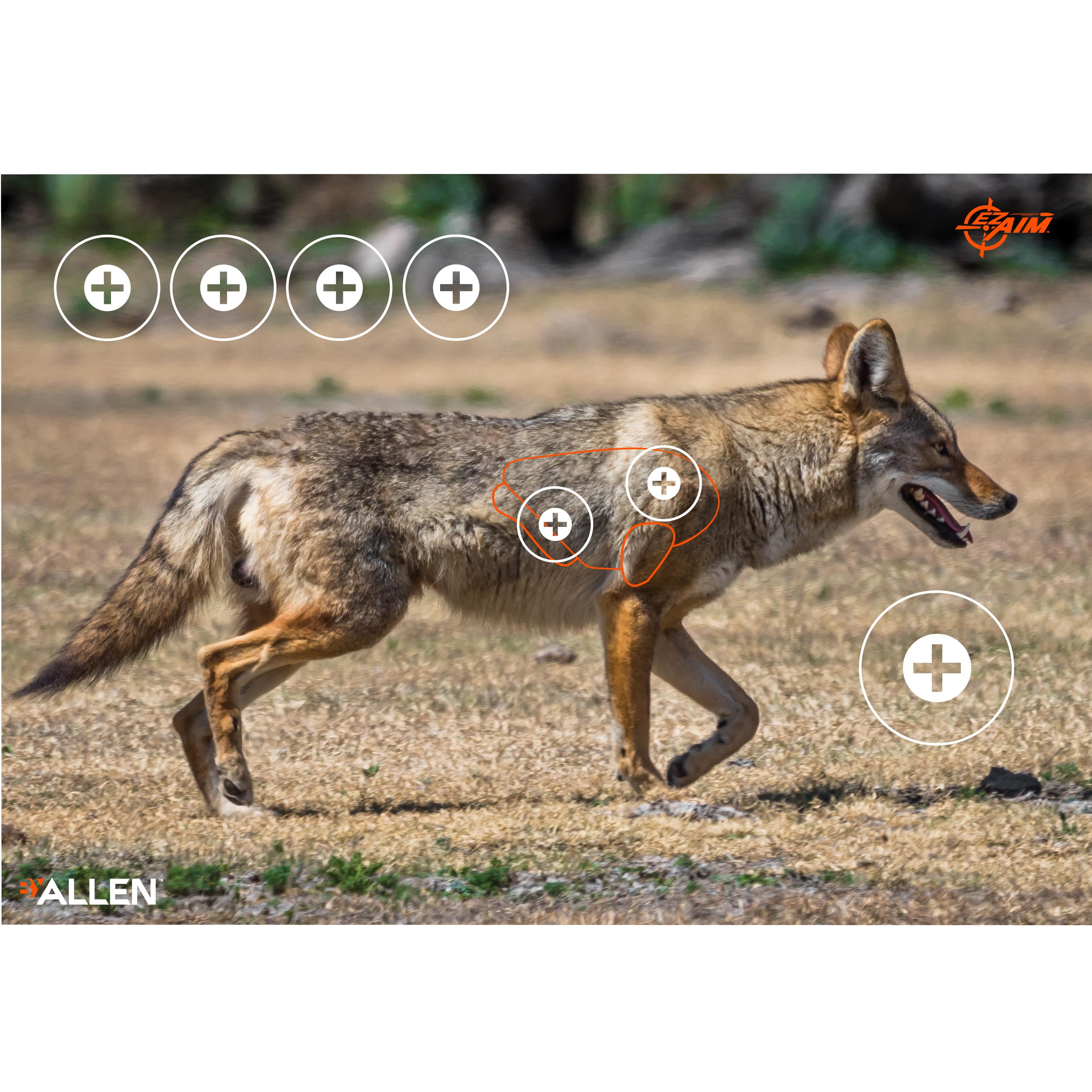 Ez Aim Paper Shooting Targets, Coyote, 35 In x 25 In, 2-Pack, Multi-Color, 2 Pack