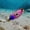 Purple, variant on Submersible LED Fishing Light with Eye-Shaped Design for Enhanced Nighttime Fish