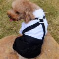 thumbnail image 4 of Qicheng Ropa para Perros Xl, Traje Elegante con Estilo Pajarita, Camisa De Esmoquin Formal con Traje De Corbata Negra (XL), 4 of 5