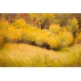 thumbnail image 2 of Murdock, Ramona 14x11 White Modern Wood Framed Museum Art Print Titled - Fall Thicket, 2 of 4