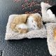 thumbnail image 5 of Gato de cristal de carbono pequeño, adornos de coche de gato de carbón de bambú, purifica el aire, imagen realista, muebles de coche, juguetes de Control Central, 5 of 6