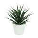 thumbnail image 2 of Plantas verdes artificiales en macetas, simulación de plantas verdes para decoración del hogar, oficina, hotel, decoración del hogar, plantas artificiales., 2 of 6