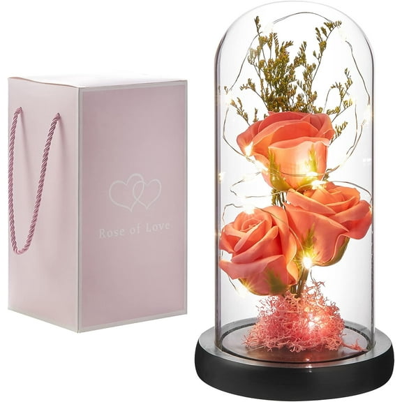 Faty-T Preserved Flower Gift, Light Up Rose in Glass Dome, Eternal Forever Rose Flower Gifts for Her, Grandma, Mother’s Day, Valentine’s Day, Anniversary, Birthday, Christmas Decorations, Rose Pink