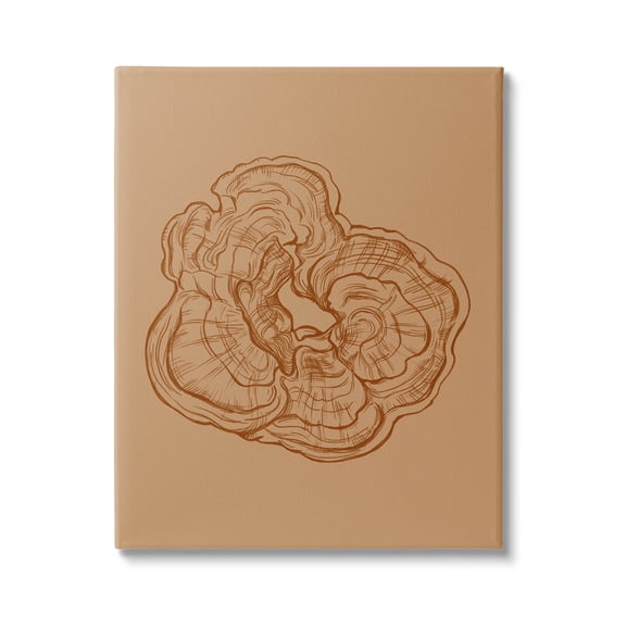 Stupell Industries Detailed Nature Botanical Fungus Graphic Art Gallery Wrapped Canvas Print Wall Art, Design by Ziwei Li