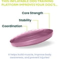 thumbnail image 2 of FitPAWS® Dog Balance Disc - Razzleberry, 22" | Dog Exercise Equipment | Workout Tool for Strength, Core, Stability & Rehabilitation, 2 of 5