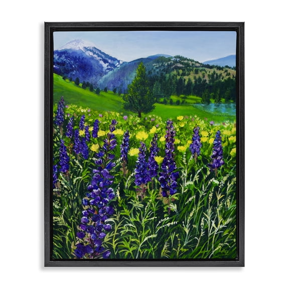 Stupell Industries French Country Flower Speckled Valley Black Floating Frame Canvas Art, 17 x 21, by Lee Ann Zirbes