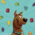thumbnail image 4 of (6 pack) Scooby-Doo Fruit Flavored Snacks, Gluten Free, Kids Snacks, Value Pack, 22 Count, 17.6 oz, 4 of 9