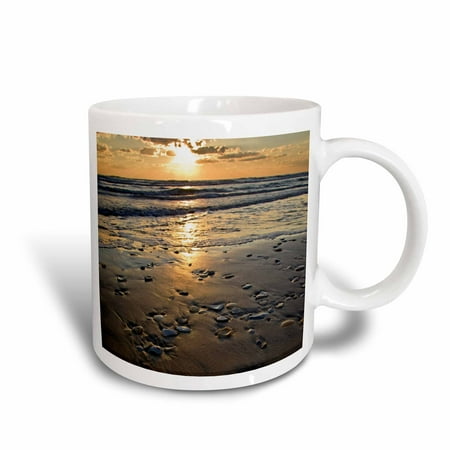 3dRose Beach seashells, Padre Island, Gulf of Mexico, Texas - US44 LDI0021 - Larry Ditto, Ceramic Mug, 11-ounce
