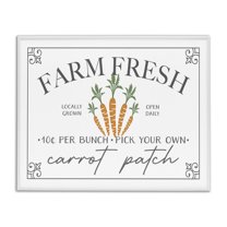 Farm Fresh Carrot Patch Seasonal Springtime Vegetables White Framed Giclee Art, 20 x 16, By JJ Design House LLC
