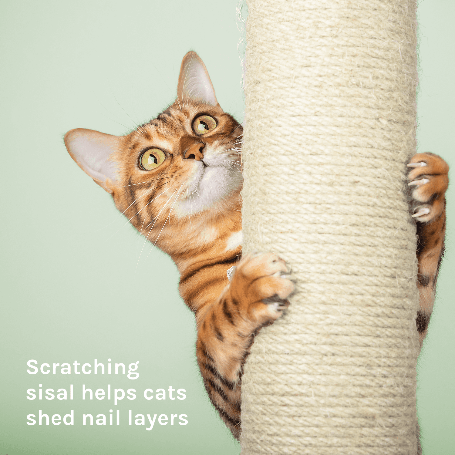 Kitty City Upholstered Multi-Level 32-inch Large Indoor Cat Perch with Scratching Post, Gray
