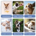 thumbnail image 7 of Paw Legend 5Pack Washable Dog Wraps for Male Dogs, Reusable Puppy & Doggie Diapers Male, Leak Proof|Ultra Absorbent Belly Bands Diapers for Dogs,XS, 7 of 7