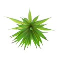 thumbnail image 4 of Artificial Plástico Planta Follaje home and garden Paisaje Decoración, 4 of 6