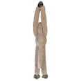 thumbnail image 5 of Wild Republic Vervet Monkey, Stuffed Animal, Plush Toy, Gifts for Kids, Hanging 22 Inches, 5 of 5