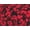 Red Black Floral, variant on Catherines Women's Plus Size Anywear Tunic