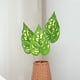 thumbnail image 4 of hojas artificiales realistas para decorar plantas artificiales., 4 of 5