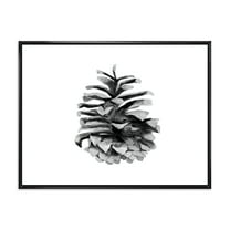 Designart 'Conifer Cone Black and White' Traditional Framed Canvas Wall Art Print