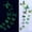 Green, variant on OAVQHLG3B 12pcs Luminous Butterfly Design Decal Art Wall Stickers Room Magnetic Home Decor