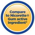 thumbnail image 3 of Equate Coated Nicotine Gum, 4 mg, Coated Cinnamon Flavor, 100 Count, 3 of 10