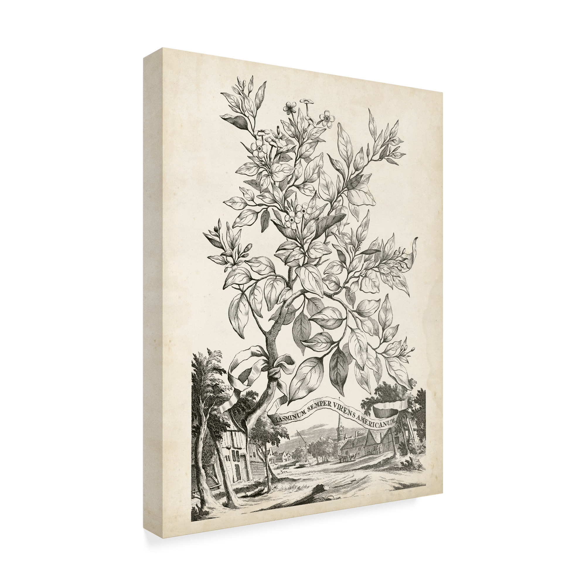 Trademark Fine Art 'Scenic Botanical II' Canvas Art by Abraham Munting
