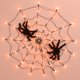 thumbnail image 5 of Decoración Luz Ambiental Halloween Spider Net Light Remote Black Spider Net Lamp Party Decor (USB naranja), 5 of 8