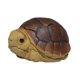 thumbnail image 5 of Figura de estatua de tortuga de mascota de té de arcilla púrpura, figura de escritorio, escultura de tortuga, tortuga en miniatura para inauguración d, 5 of 9