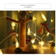 thumbnail image 5 of Fiudx Cadena de Luces Led con Clip, Expositor de Fotos Ajustable, Linterna Pequeña a Pilas, Decoración para Interiores y Exteriores, Iluminación para Fiestas Navideñas o Bodas, Alimentación Por Usb,, 5 of 7