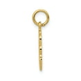 thumbnail image 2 of 14k Yellow Gold Registered Nurse Disc Charm, 2 of 4