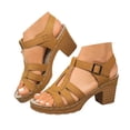 thumbnail image 1 of Women's Chunky Heels Sandals Open Toe Ankle Strap Mid Heels Wedding Party Dance Pump Sandals Shoes, 1 of 9