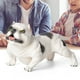 thumbnail image 5 of Juguete modelo animal, modelo de perro de simulación, juguete para perro, decoración para perro, diseño de última generación, 5 of 12