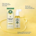 thumbnail image 4 of Moisturizing Hair Mist with Camellia Oil for Softness and Repair, 4 of 5