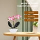 thumbnail image 5 of Mini orquídea mesa planta ornamento planta en maceta artificial para baño cocina, 5 of 6