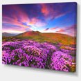 thumbnail image 2 of Magic Pink Rhododendron Flowers - Large Landscape Canvas Art Print, 2 of 4