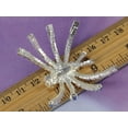 thumbnail image 3 of Austrian Crystal Rhinestone Halloween Creepy Spider Insect Fashion Pin Brooch, 3 of 5