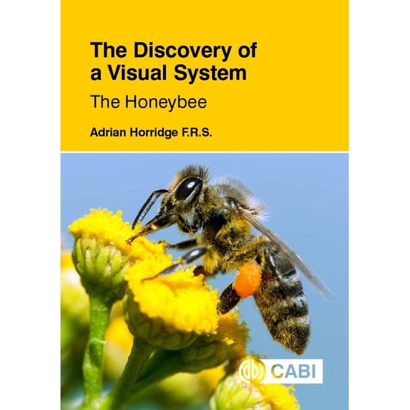 The Discovery of a Visual System: The Honeybee, (Hardcover)