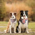 thumbnail image 6 of 4th of July Dog Bandanas 2 Pack,Memorial Day American Flag Stars Scarf for Pets,Polyester Fabric Soft and Comfortable，Patriotic Bandanas Suitable for Small,Large and Extra Large Dogs and Cats L, 6 of 6