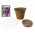 thumbnail image 2 of Microgreens Seed Starter Kit - Growing Kit Includes Seeds, Coconut Fiber Pot, and Coco Coir Soil Disc - Easy Micro Greens for Indoor Growing by Sustainable Seed Company (Alfalfa), 2 of 2