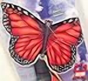 ORNG BUTTERFLY KITE - FRENCH