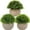 A Style #09, variant on Small Fake Plants Faux Potted Plant Mini Artificial Plants for for Home Table Office Room Desk Bathroom Shelf Kitchen Farmhouse Mantel Decoration A