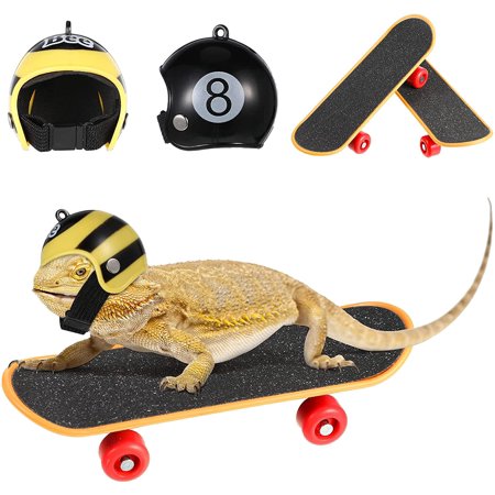 4 Pieces Bearded Dragon Accessories Bearded Dragon Funny Toy Lizard ...