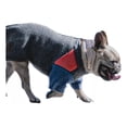 thumbnail image 2 of Sueter Para Perro Urban Dog Mazapan Gris Talla 0 - 15, 2 of 3