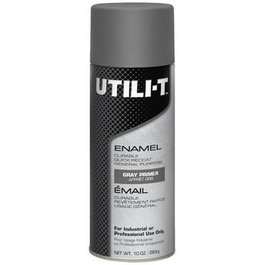 Rust-Oleum General Purpose Enamel Spray Paint,10 oz 387397