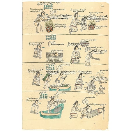 24x36 gallery poster, Codex Mendoza showing the rearing and education of Aztec boys and girls in an ages list