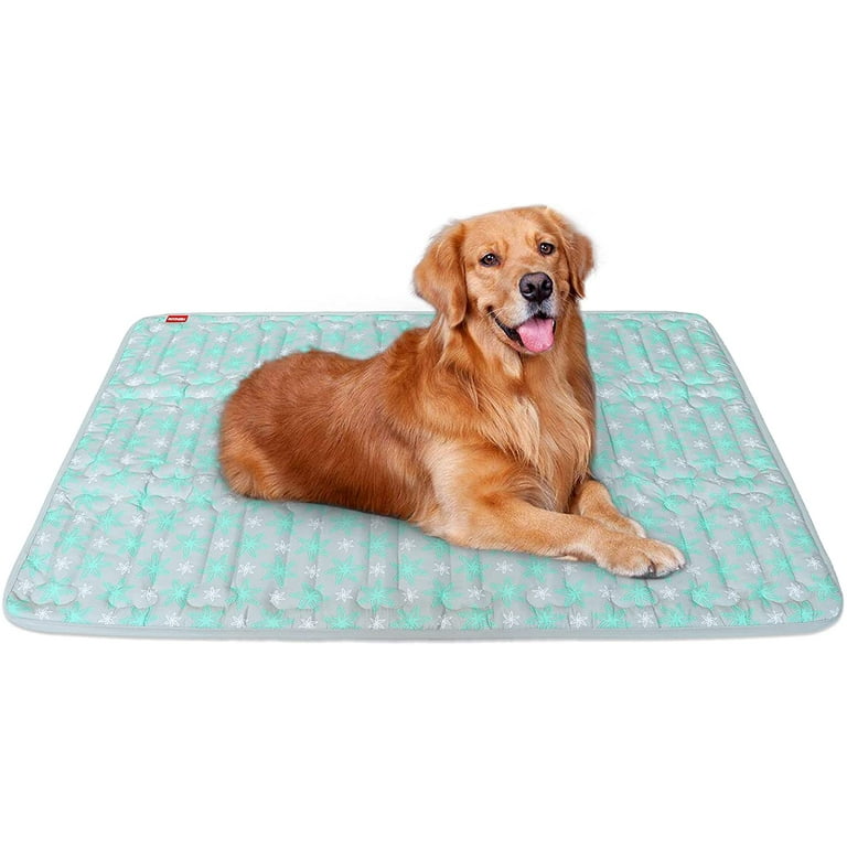 Kennel pads cheap walmart