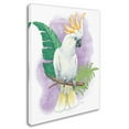 thumbnail image 2 of Trademark Fine Art 'Tropical Flair III' Canvas Art by Mary Urban, 2 of 3
